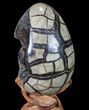 Septarian Dragon Egg Geode - Black Crystals #88183-3